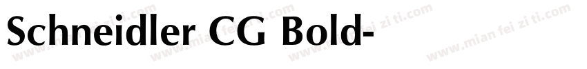Schneidler CG Bold字体转换